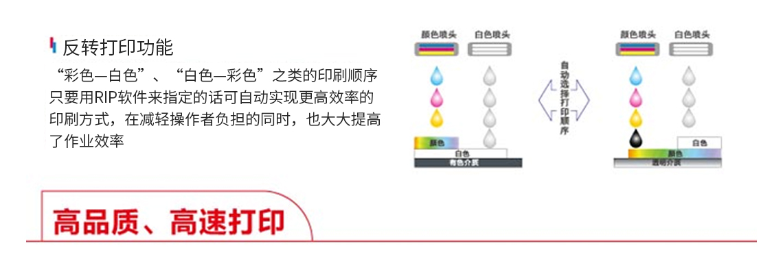 1534476891899456.jpg